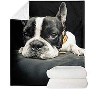 SEANATIVE Couverture jetée imprimée 3D Bouledogue français Super douce et pelucheuse pour canapé, lit TV, couverture floue confortable et chaude en flanelle résistant - 2XL
