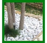 Seat Flor SRL® Bol blanc Carrara (sac 20 kg) diamètre 60/100 mm, pierre blanche pour jardin