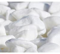 Seat Flor srl ® Galet blanc pour jardins, galet naturel super blanc pour jardins, galet de Thassos (3 tailles disponibles) (15/25 mm. 10 kg)