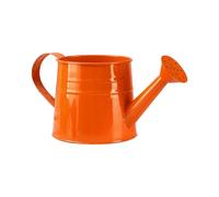Seau de douche en métal galvanisé de 1 L, petit pot de fleurs pour petites plantes d'intérieur et d'extérieur (orange)