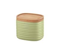 Seaweed Green BOÎTE "TIERRA" S