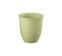 Seaweed Green VERRE BAS "TIERRA"