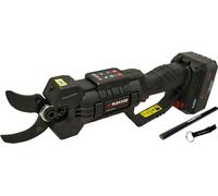 Sécateur à batterie PARKSIDE PERFORMANCE® PPAAS 20-Li avec batterie 4 Ah et chargeur 2,4 A