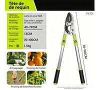 Sécateur à long manche télescopique pour jardin, taille-branches épaisses, puissant et effort réduit pour arbres fruitiers-Modèle A