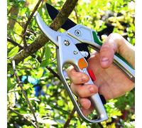 Sécateur, cisailles à gazon, entretien du jardin