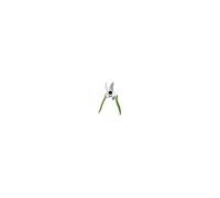 Ribimex Sécateur acier inox - Vert