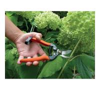 Garten Primus Sécateur de jardin Sécateur spécial rosier G pour rosiers et bois tendres