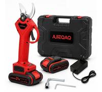 Sécateur électrique sans fil 21V Brushless, 2×2,0Ah batteries, capacité de coupe 25 mm, lame SK5, avec mallette