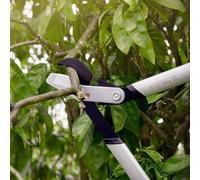 Sécateur Powergear X Bypass SLX92 FISKARS
