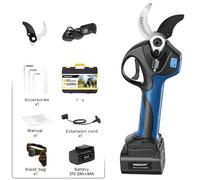 Sécateurs électriques, moteur sans balais, double batterie, bleu, deux batteries