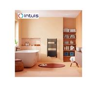 Sèche-serviettes électrique soufflant étroit 500W+1000W Ezybain nativ noir - INTUIS M245225