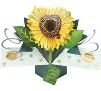 Second Nature POP209 Carte pop-up Motif tournesol