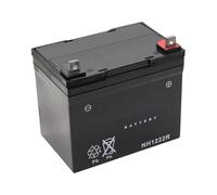 SECURA Batterie 12V 22Ah (+ pôle droite) compatible avec Kubota GR1600 Tracteur de pelouse
