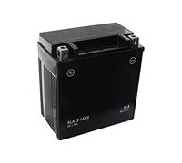 SECURA Batterie gel 12V 14Ah compatible avec McCulloch M115-97TC 960510132 Tracteur de pelouse