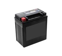 SECURA Batterie gel 12V 14Ah compatible avec McCulloch M125-97TC 960510149 Tracteur de pelouse
