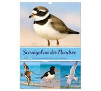 Seevögel an der Nordsee (Wandkalender 2027 DIN A3 hoch), CALVENDO Monatskalender: Die faszinierende Vogelwelt der norddeutschen Küste