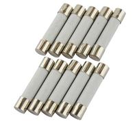 SeKi Lot de 10 fusibles en céramique 1,6 A, 6 x 30 mm, fusibles en verre 250 V