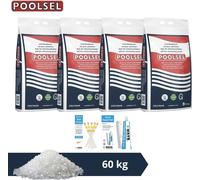 Sel de piscine polonais - Convient pour système d'eau salée - 60 kg & brosse à récurer WAYS