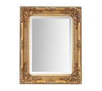 Select Mirrors Miroir Rhône - Style français vintage baroque antique - 42 cm x 53 cm - Décoration d'intérieur chic (doré antique)