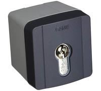 Sélecteur extérieur avec rétroéclairage bleu et cylindre serrure DIN. Gris RAL7024 CAME 806SL-0050