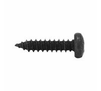 SELECTION P2R (Motorisé) Vis Parker Tete Ronde 4,2 x 19 mm Noir (Sachet de 10 Pieces)