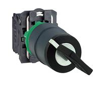 Schneider Electric Interrupteur à clé XB5AG61