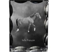 Selle Francais - crystal with a picture of a horse, glass statuette with a picture, unique frame with a picture from Art-Dog brand