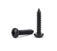 SellGood Lot de 20/100 Mini vis à Bois autotaraudeuses à tête cylindrique cruciforme en Acier Inoxydable 304 Noir M1.4 M1.7 M2 M2.2 M2.5 M3 Vis de Fixation(100pcs M1.7x10mm)