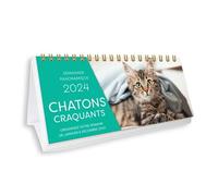 Semainier panoramique - Chatons craquants 2024, une page par jour - Collectif - Editions 365 - relié - Calendrier