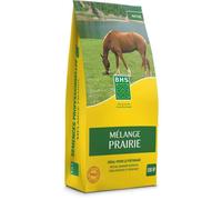 Semence de gazon - BHS - Mélange Prairie 5kg | 500m² | Pour zones extensives et pâturage | Rapide, résistant, sans entretien.