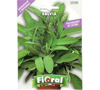 Semences de plantes aromatiques et officinales en sachet pour jardinier amateur