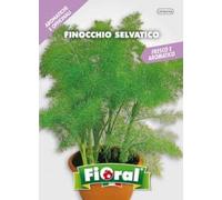 Semences de plantes aromatiques et officinales en sachet pour jardinier amateur