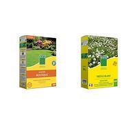 SEMENCES GAZON RUSTIQUE 1KG & TRE500 | 500g | 500 m² | Trefle Blanc | Favorise la biodiversité | S’adapte à tous types de sols | Résiste au piétinement