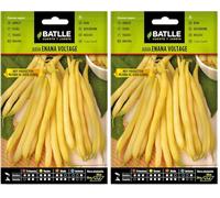 Semences horticoles de Batlle - Haricot nain Ilerda jaune (25g) (Lot de 2)