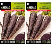 Semillas Batlle Carotte FOURRAGERE Violette (Lot de 2)