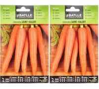 Semillas Batlle Carotte Saint-Valery Tres PRECOCE (Lot de 2)