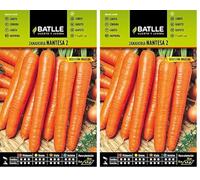 Semillas Batlle Carottes Carotte de Nantes 2 - Urgelba, Orange (Lot de 2)