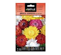 Semillas Batlle Immortelle A BRACTEES