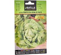 Semillas Batlle LAITUE POMMEE Reine DE MAI Type Princesse DE MAI, Vert
