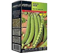 Semillas Batlle - Petit Pois Nain Lincoln 250 gramos, Vert