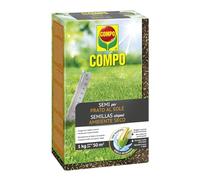 Semillas césped ambiente seco 1kg