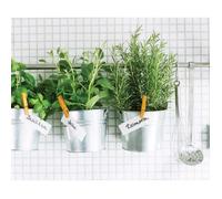 SEMIS DE PRINTEMPS : Trio de graines Aromatik à semer : Thym Romarin Basilic
