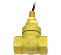 SEN-DB15 Commutateur de détection de débit type palette avec point d'activation réglable 5 à 15 L/min Plage G1/2 mâle/femelle adaptable