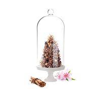 Sendez Cloche en verre avec assiette en porcelaine - Cloche décorative en verre - Décoration de table - 30 cm