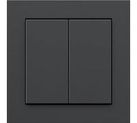 Senic Friends of Hue Smart Switch, Palpeur