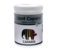 SENNELIER - caparol 1kg