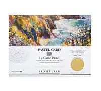 Sennelier La Carte Pochette en carton pastel monochromatique Jaune Naples 40 x 27,9 cm