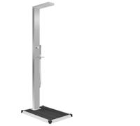 sephironlbb Douche de jardin avec élément de sol WPC en acier inoxydable, douche à pluie, douche cascade, douche massante, douchette à main, hauteur 210 cm, receveur de douche 80 x 62 cm, accessoires