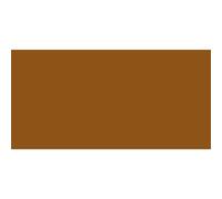 Série De 75ml D'amsterdam Expert Acrylique 3 Raw Sienna