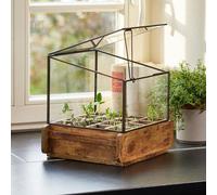 Serre avec 16 compartiments - pots de fleurs 29cm accessoire jardin plante